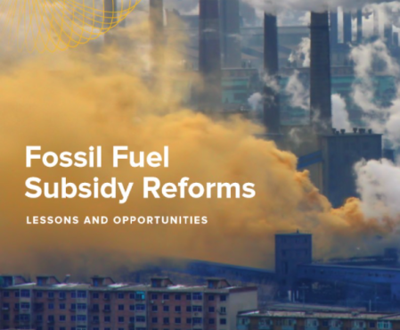 Fossil Fuel Subsidy Reform: Lessons and Opportunities | CPD Power and ...