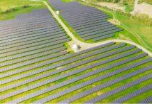 Renewable Energy Market Update – May 2022