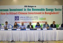 CPD Calls for Leveraging Power Plant Cancellations and Managing Currency Risks to Boost Chinese Investment in Renewable Energy