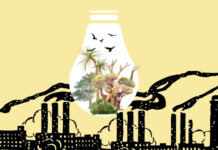 Can the new government break Bangladesh’s energy paradox? – Dr Khondaker Golam Moazzem